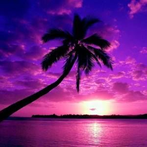 Meet your Posher, Maryjo